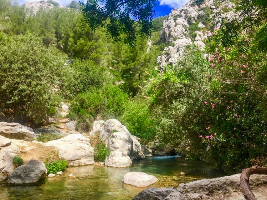 Algar Waterfalls Coach Trip - From Albir & Benidorm - My practical verdict