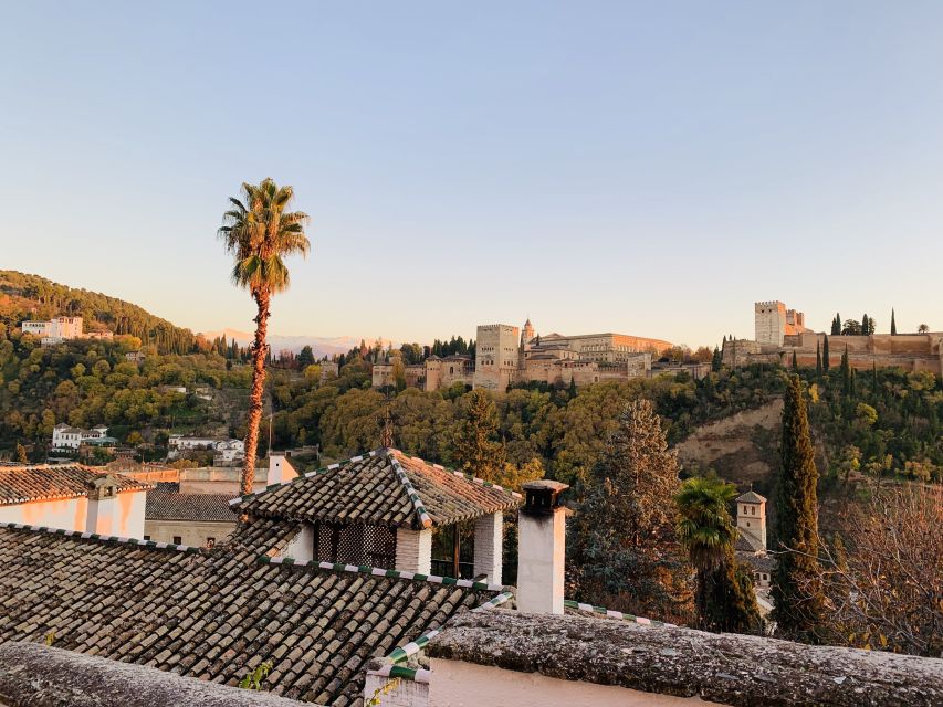 Alhambra and Nasrid Palaces Guided Tour with Tickets - The Nasrid Palaces, the 75-minute centerpiece
