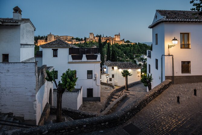 Alhambra with Nazaries Palaces Private Tour - Why a private guide changes the Alhambra visit