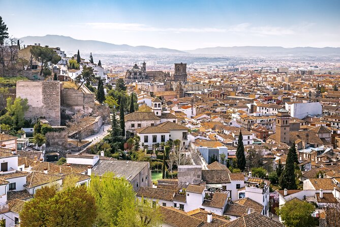 Alhambra with Nazaries Palaces Private Tour - Nasrid Palaces: the artistic heart of the visit