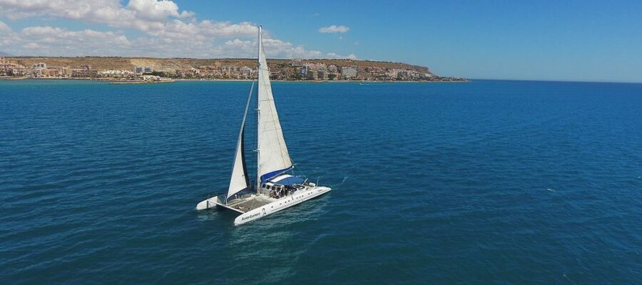 Alicante: 6-Hour Catamaran Cruise to Tabarca Island - Key points to know before you book