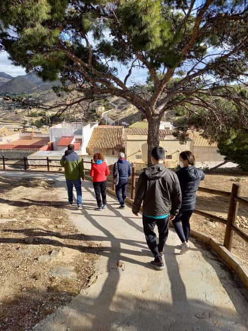 Alicante: Canelobre Caves & Busot Tour with Local Guide - What makes Canelobre worth the trip