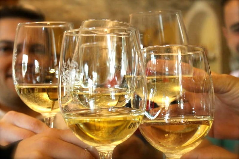 Alicante: Countryside Wine Tour with 4 Tastings - Key points at a glance