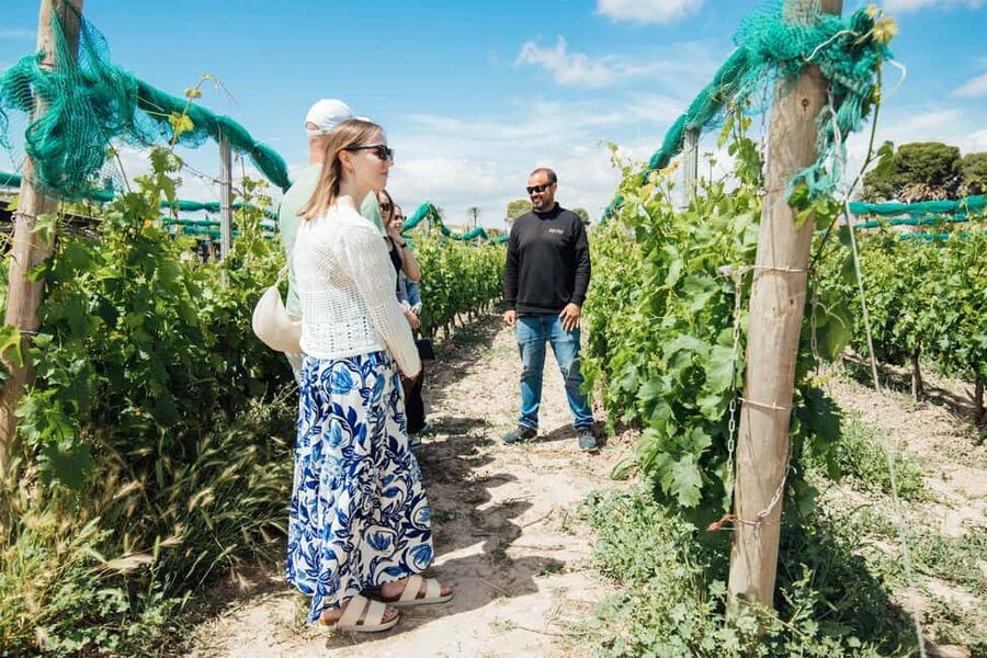 Alicante: Countryside Wine Tour with 4 Tastings - Why this winery trip works so well from Alicante