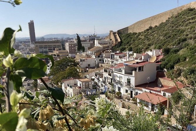 Alicante Historic Small Group Tour with Tapas Tasting - What the tapas stop really includes