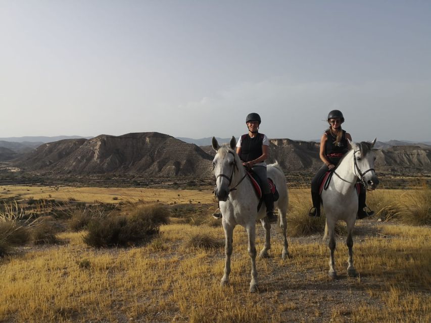 Almeria: Horse Riding Tour Through the Tabernas Desert - Key points before you book
