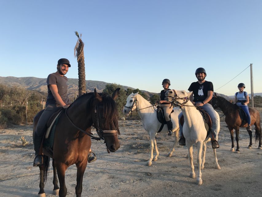 Almeria: Horse Riding Tour Through the Tabernas Desert - Why horseback is a good way to see the Tabernas Desert