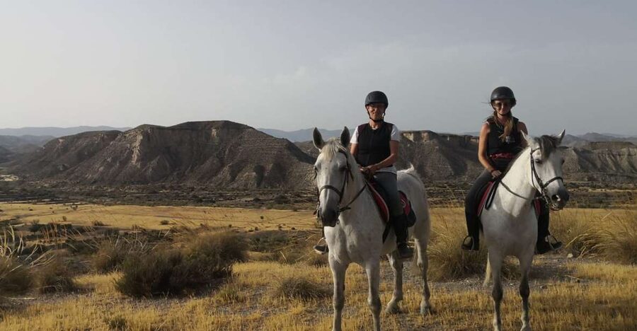 Almeria: Horse Riding Tour Through the Tabernas Desert - Meeting your horse and getting comfortable