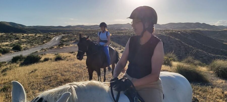 Almeria: Horse Riding Tour Through the Tabernas Desert - How the ride works for beginners and experienced riders