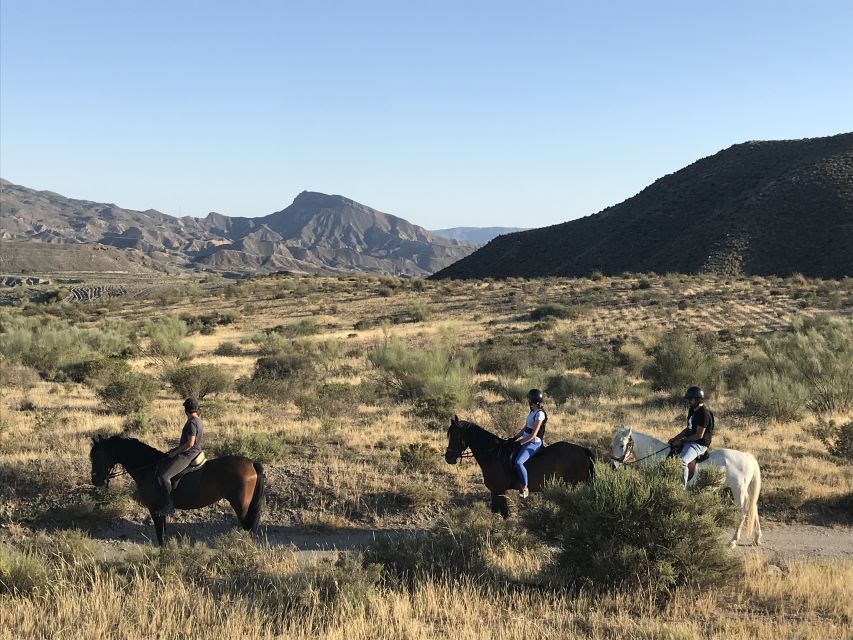 Almeria: Horse Riding Tour Through the Tabernas Desert - The horses and the care behind the experience