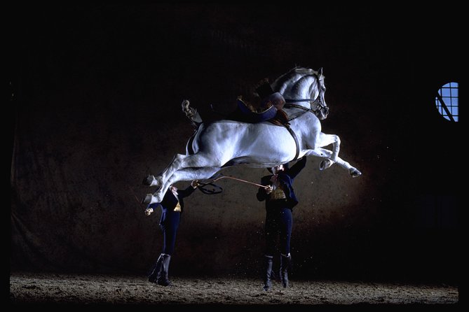 Andalusian Horses Dance Show - Key points to know before you book