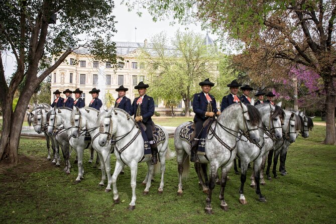 Andalusian Horses Dance Show - Price, timing, and getting to Jerez