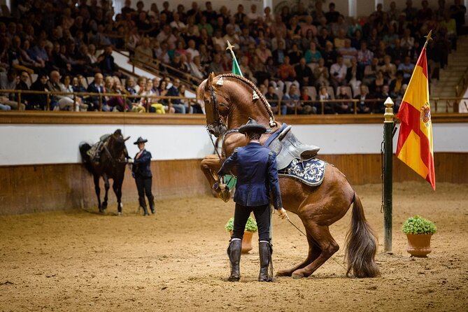 Andalusian Horses Dance Show - At the Royal Andalusian School in Jerez