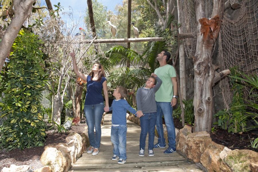 Arona: Entry Ticket to Tenerife's Jungle Park Zoo - Key points to know before you go