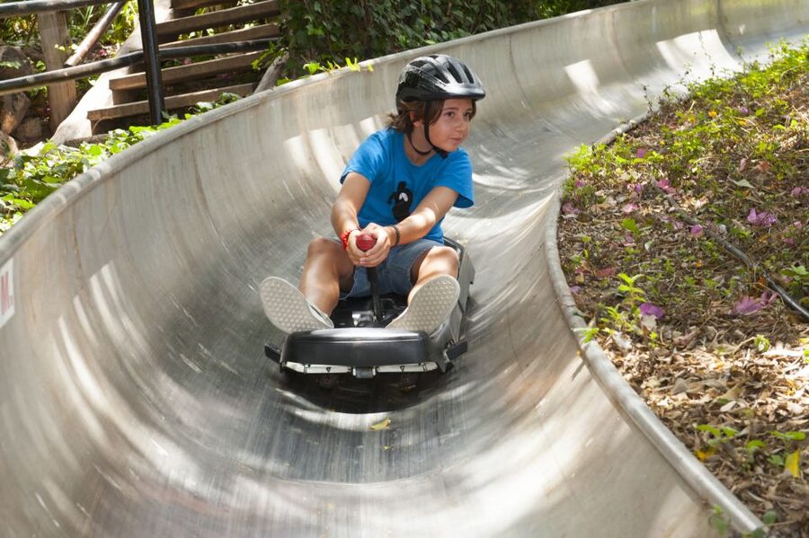 Arona: Entry Ticket to Tenerife's Jungle Park Zoo - A jungle-style zoo in the hills above Arona