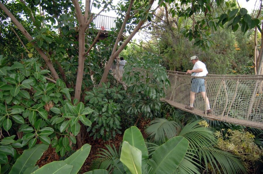 Arona: Entry Ticket to Tenerife's Jungle Park Zoo - The free-flight birds of prey show