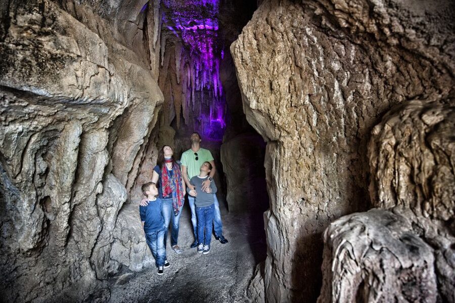 Arona: Entry Ticket to Tenerife's Jungle Park Zoo - Getting to Jungle Park from southern Tenerife