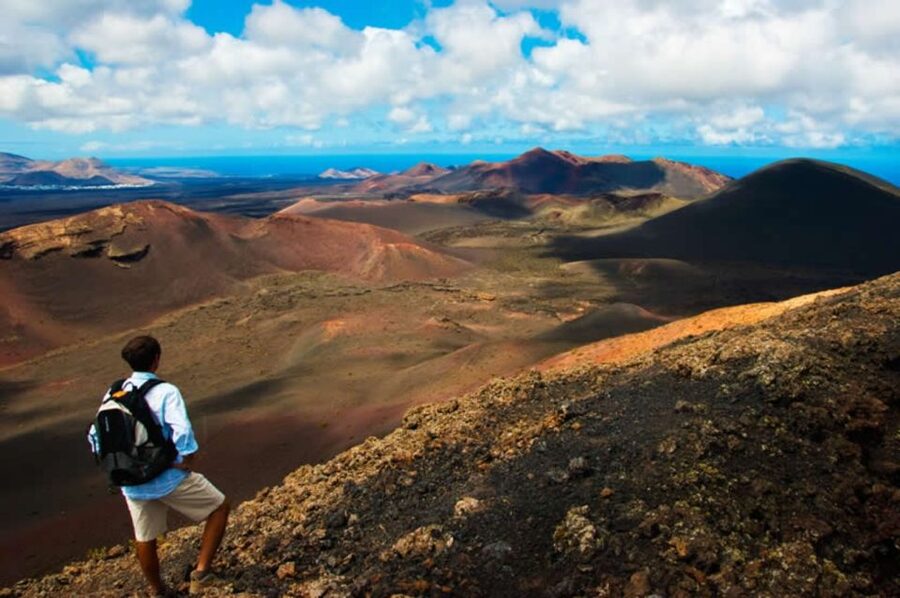 Arrecife/Playa Blanca: Timanfaya National Park Area Day Tour - Why Timanfaya deserves the full day