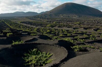 Arrecife/Playa Blanca: Timanfaya National Park Area Day Tour