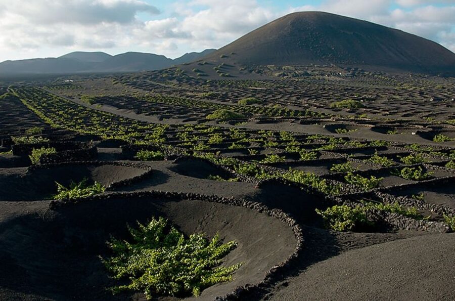 Arrecife/Playa Blanca: Timanfaya National Park Area Day Tour - Islet of Hilario and the heat below