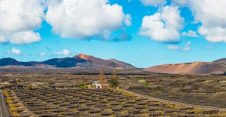 Arrecife: Timanfaya and Green Lagoon for Cruise Passengers - El Golfo and the Green Lagoon