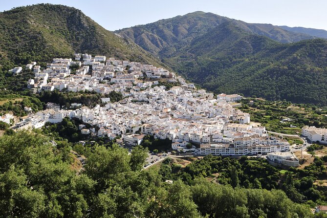 Authentic Andalusia - Jeep Eco Tour (pick up from Marbella - Estepona) - Entering Sierra de las Nieves by open-roof Land Rover