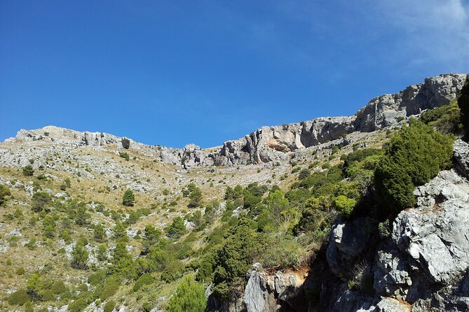 Authentic Andalusia - Jeep Eco Tour (pick up from Marbella - Estepona) - What the $139.07 price really covers