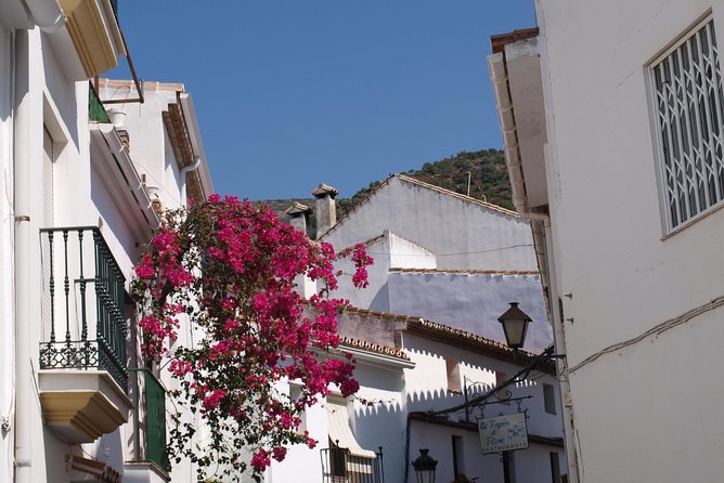Authentic Andalusia - Jeep Eco Tour (pick up from Marbella - Estepona) - Practical details for a smoother day