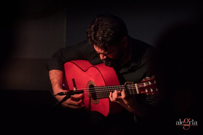 Authentic flamenco show. Alegria and gastronomy Malaga - Why this small Malaga theatre suits flamenco