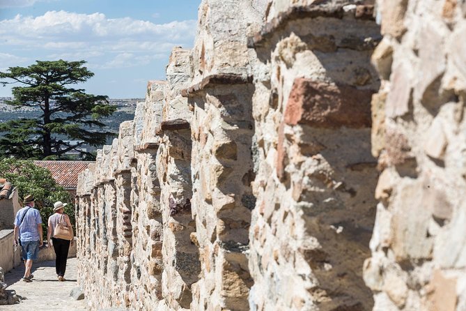 Avila with Walls and Segovia with Alcazar from Madrid - Segovia Cathedral and lunch choices