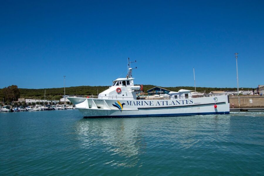 Barbate: Dolphin and Whale Watching in Cape Trafalgar - Key points at a glance