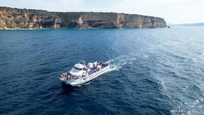Barbate: Dolphin and Whale Watching in Cape Trafalgar