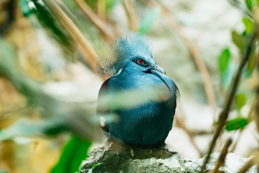 Barcelona: 1-Day Ticket to Barcelona Zoo - Key points to know before you go