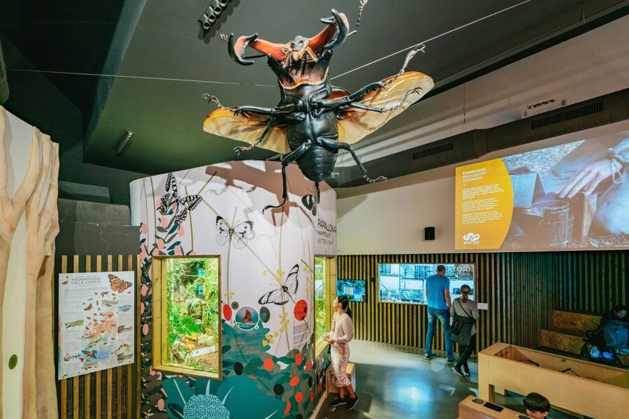 Barcelona: 1-Day Ticket to Barcelona Zoo - What your day at Barcelona Zoo is really like