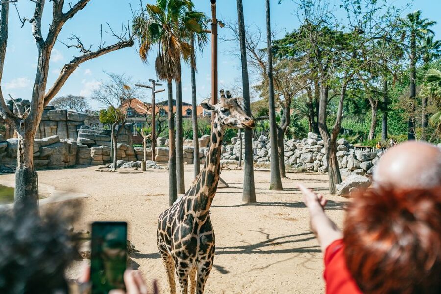 Barcelona: 1-Day Ticket to Barcelona Zoo - Practical tips for a better visit