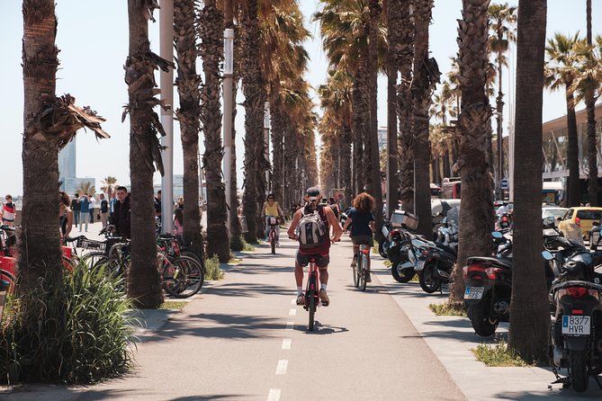 Barcelona 3-hour Bike or E-Bike Tour: Highlights and Hidden Gems - A proper pause in Parc de la Ciutadella