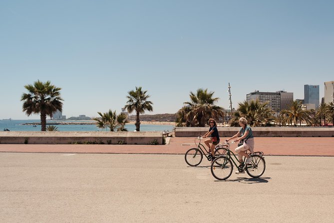 Barcelona 3-hour Bike or E-Bike Tour: Highlights and Hidden Gems - Starting among palms at Plaça Reial
