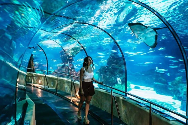 Barcelona Aquarium: Entry Ticket - Planeta Aqua makes the visit more hands-on