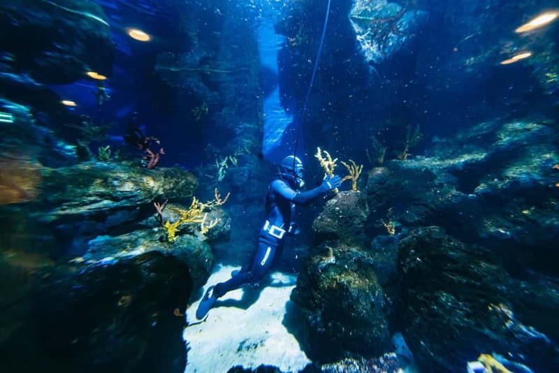 Barcelona Aquarium: Entry Ticket - A self-guided route through Port Vell