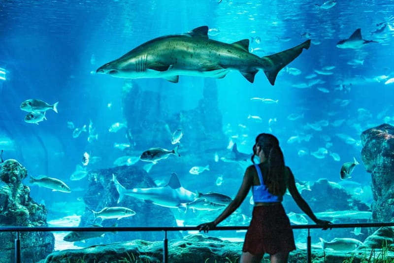 Barcelona Aquarium: Entry Ticket - Timing your admission wisely