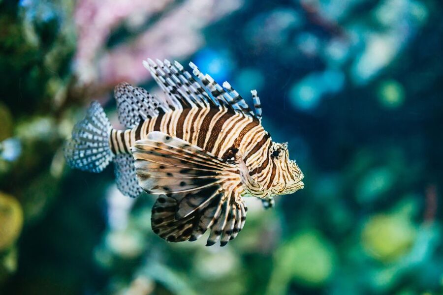 Barcelona Aquarium: Entry Ticket - Family access, facilities, and comfort