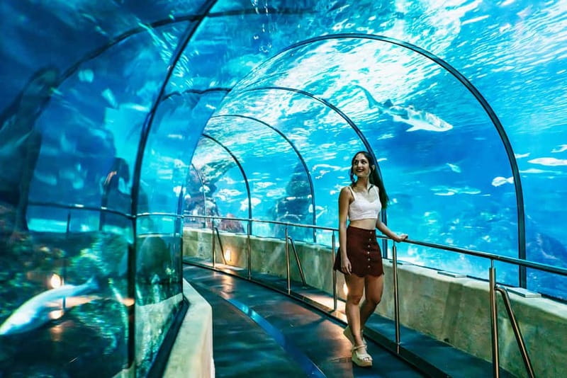 Barcelona Aquarium: Entry Ticket - Is the $31 ticket good value?