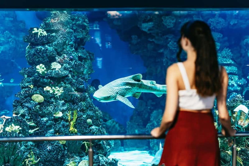 Barcelona Aquarium: Entry Ticket - What makes this aquarium especially good for young children