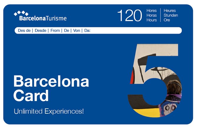 Barcelona Card: Museums + Transport for 72h, 96h or 120h - The art museums are the strongest reason to buy