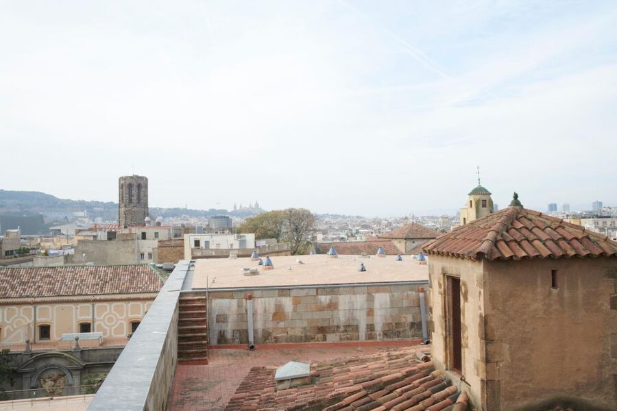 Barcelona Cathedral: Ticket, Guided Tour and VR Experience - The cloister, 13 geese, and Saint Eulalia