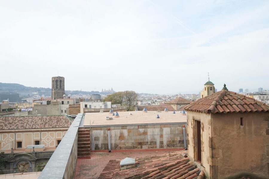 Barcelona Cathedral: Ticket, Guided Tour and VR Experience - Rooftop views over Barcelona