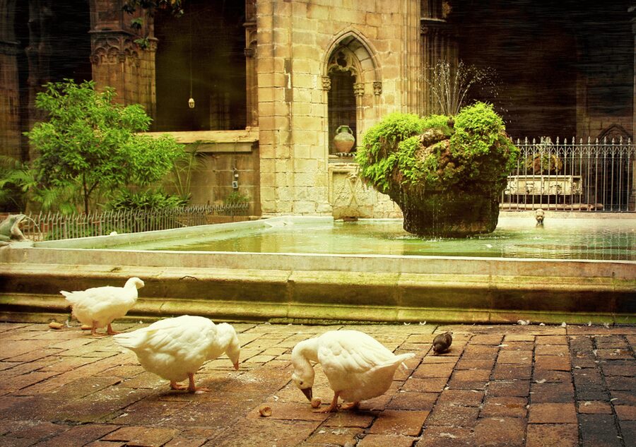 Barcelona Cathedral: Ticket, Guided Tour and VR Experience - What the virtual reality portion adds