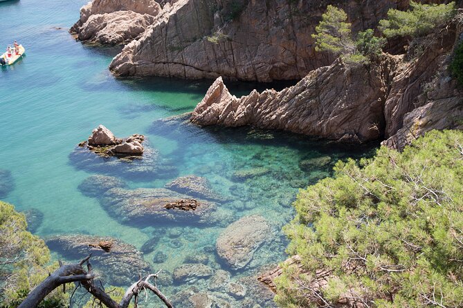 Barcelona: Costa Brava Easy Hike, Snorkel, Cliff-Jump & Meal - Starting at a Quiet Golden-Sand Cove