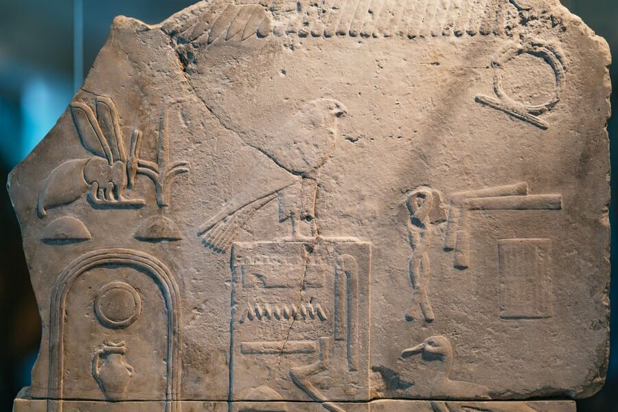 Barcelona Egyptian Museum Tickets - Night tours and special museum activities