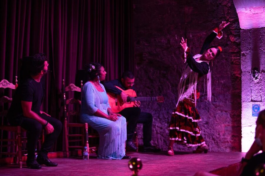 Barcelona: Flamenco Show at Palau Dalmases - Key points at a glance